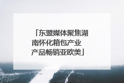 东盟媒体聚焦湖南怀化箱包产业 产品畅销亚欧美