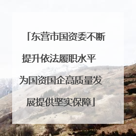 东营市国资委不断提升依法履职水平 为国资国企高质量发展提供坚实保障