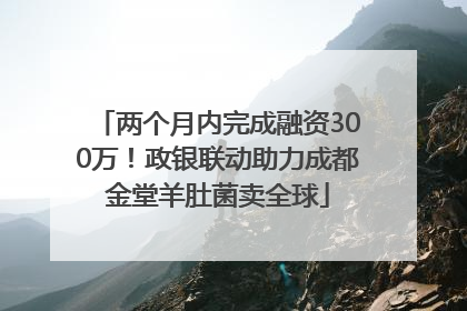 两个月内完成融资300万！政银联动助力成都金堂羊肚菌卖全球
