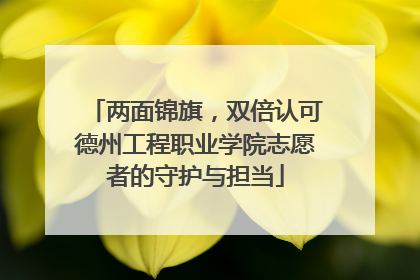 两面锦旗，双倍认可德州工程职业学院志愿者的守护与担当