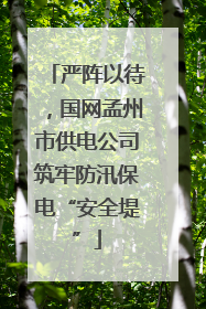 严阵以待，国网孟州市供电公司筑牢防汛保电“安全堤”