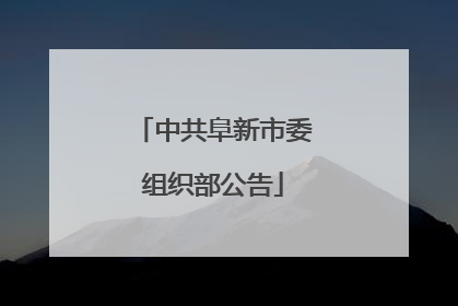 中共阜新市委组织部公告