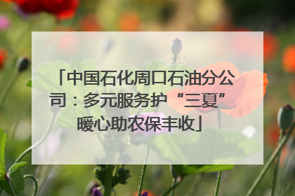 中国石化周口石油分公司：多元服务护“三夏” 暖心助农保丰收