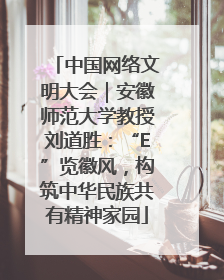 中国网络文明大会｜安徽师范大学教授刘道胜：“E”览徽风，构筑中华民族共有精神家园