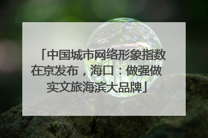 中国城市网络形象指数在京发布，海口：做强做实文旅海滨大品牌
