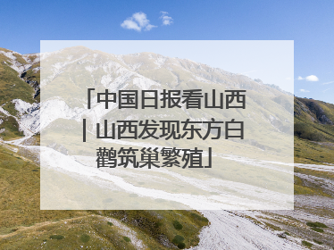中国日报看山西｜山西发现东方白鹳筑巢繁殖