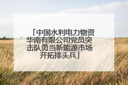 中国水利电力物资华南有限公司党员突击队勇当新能源市场开拓排头兵
