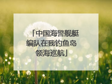 中国海警舰艇编队在我钓鱼岛领海巡航