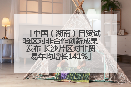 中国（湖南）自贸试验区对非合作创新成果发布 长沙片区对非贸易年均增长141%