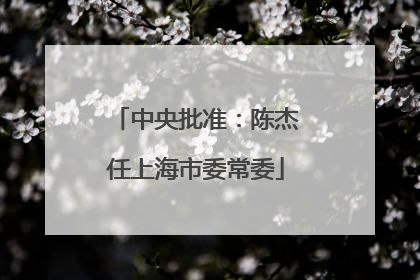 中央批准：陈杰任上海市委常委