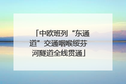 中欧班列“东通道”交通咽喉绥芬河隧道全线贯通