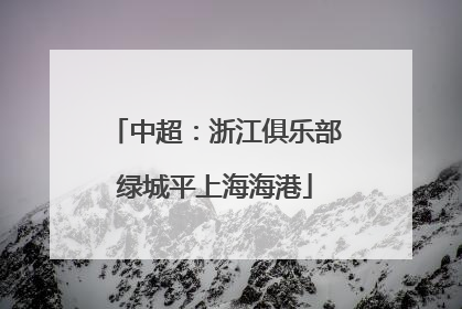 中超：浙江俱乐部绿城平上海海港