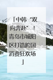 中韩“双向奔赴”！青岛市城阳区打造跨国消费狂欢场