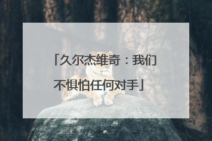 久尔杰维奇：我们不惧怕任何对手