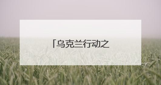 乌克兰行动之后：特朗普沉默 美特使警告