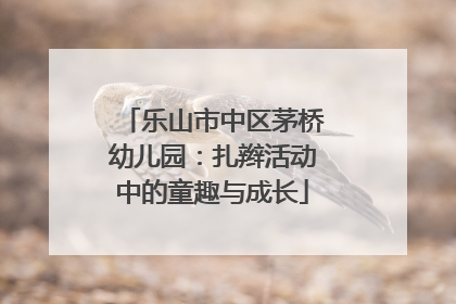 乐山市中区茅桥幼儿园：扎辫活动中的童趣与成长
