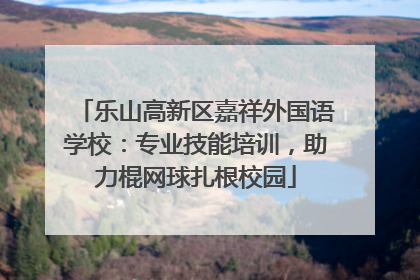 乐山高新区嘉祥外国语学校：专业技能培训，助力棍网球扎根校园