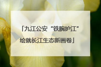九江公安“铁腕护江”绘就长江生态新画卷
