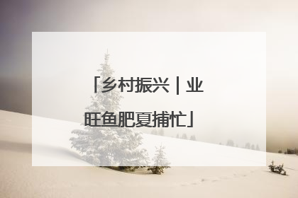 乡村振兴｜业旺鱼肥夏捕忙