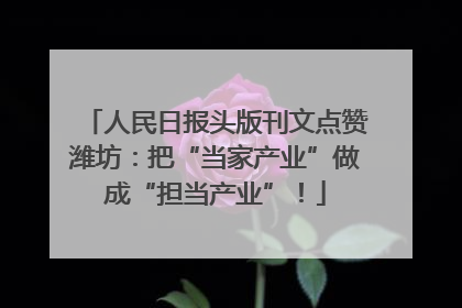 人民日报头版刊文点赞潍坊：把“当家产业”做成“担当产业”！