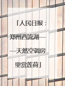 人民日报：郑州西流湖——天然空调房里赏莲荷
