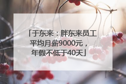 于东来：胖东来员工平均月薪9000元，年假不低于40天