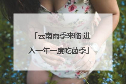 云南雨季来临 进入一年一度吃菌季