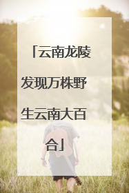 云南龙陵发现万株野生云南大百合