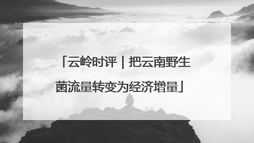 云岭时评｜把云南野生菌流量转变为经济增量