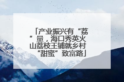 产业振兴有“荔”量，海口秀英火山荔枝王铺就乡村“甜蜜”致富路