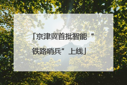 京津冀首批智能“铁路哨兵”上线