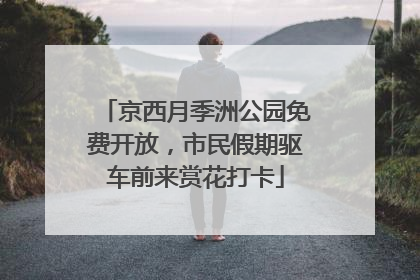 京西月季洲公园免费开放，市民假期驱车前来赏花打卡