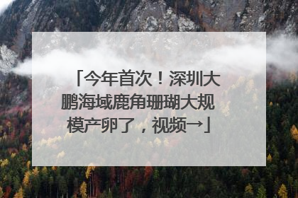 今年首次！深圳大鹏海域鹿角珊瑚大规模产卵了，视频→