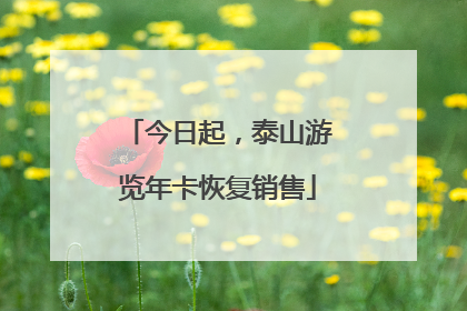 今日起，泰山游览年卡恢复销售