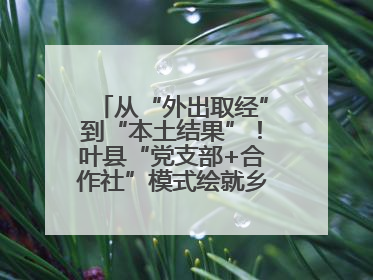 从“外出取经”到“本土结果”！叶县“党支部+合作社”模式绘就乡村振兴新图景