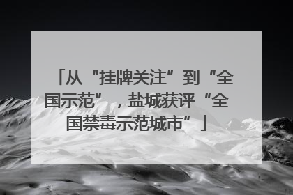 从“挂牌关注”到“全国示范”，盐城获评“全国禁毒示范城市”