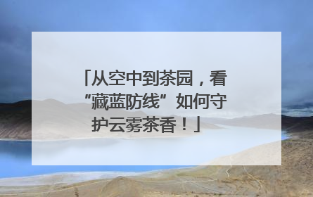 从空中到茶园，看“藏蓝防线”如何守护云雾茶香！