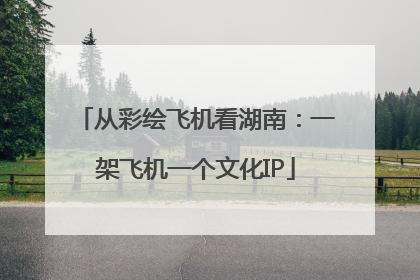 从彩绘飞机看湖南：一架飞机一个文化IP