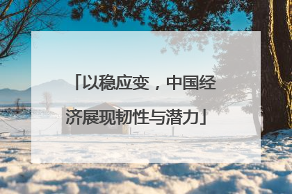 以稳应变，中国经济展现韧性与潜力