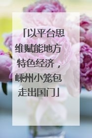 以平台思维赋能地方特色经济，嵊州小笼包走出国门