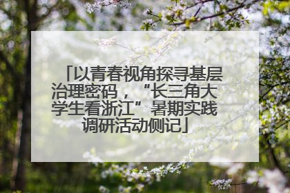 以青春视角探寻基层治理密码，“长三角大学生看浙江”暑期实践调研活动侧记