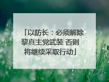 以防长：必须解除黎真主党武装 否则将继续采取行动