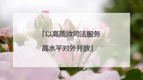 以高质效司法服务高水平对外开放