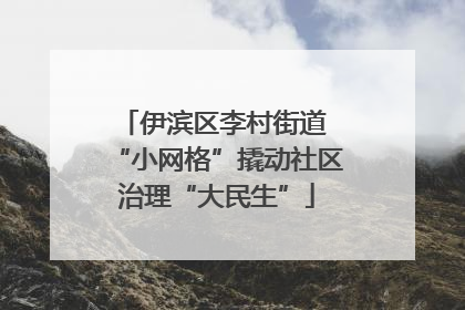 伊滨区李村街道 “小网格”撬动社区治理“大民生”