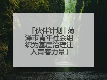 伙伴计划│菏泽市青年社会组织为基层治理注入青春力量