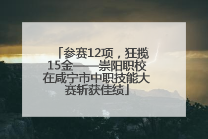 参赛12项，狂揽15金——崇阳职校在咸宁市中职技能大赛斩获佳绩