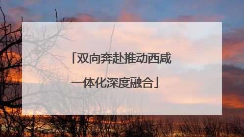 双向奔赴推动西咸一体化深度融合