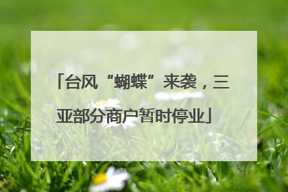 台风“蝴蝶”来袭，三亚部分商户暂时停业