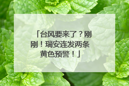 台风要来了？刚刚！瑞安连发两条黄色预警！
