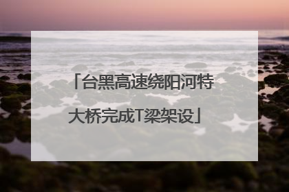 台黑高速绕阳河特大桥完成T梁架设